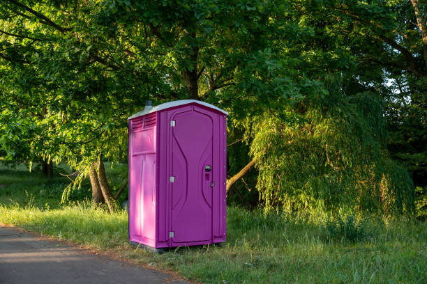 Best Porta potty cleaning services  in Granvle, IL